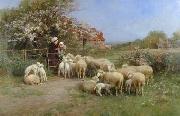 unknow artist Sheep 138 oil painting on canvas